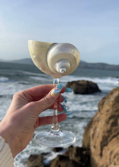 Ariel Champagne Glass