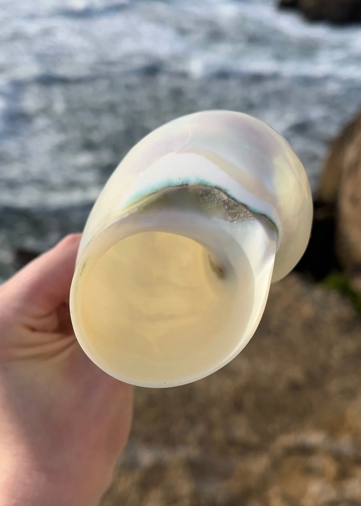 Ariel Champagne Glass