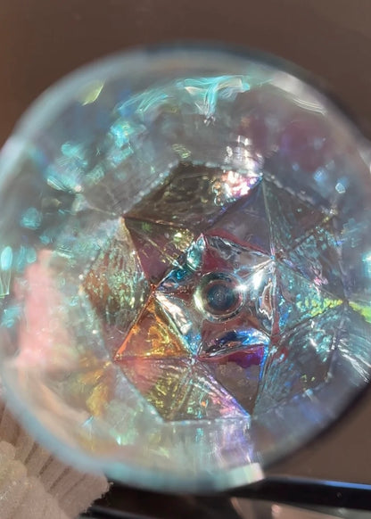 Elsa Champagne Glass